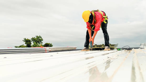 Best Roof Insulation Installation  in West Elmira, NY
